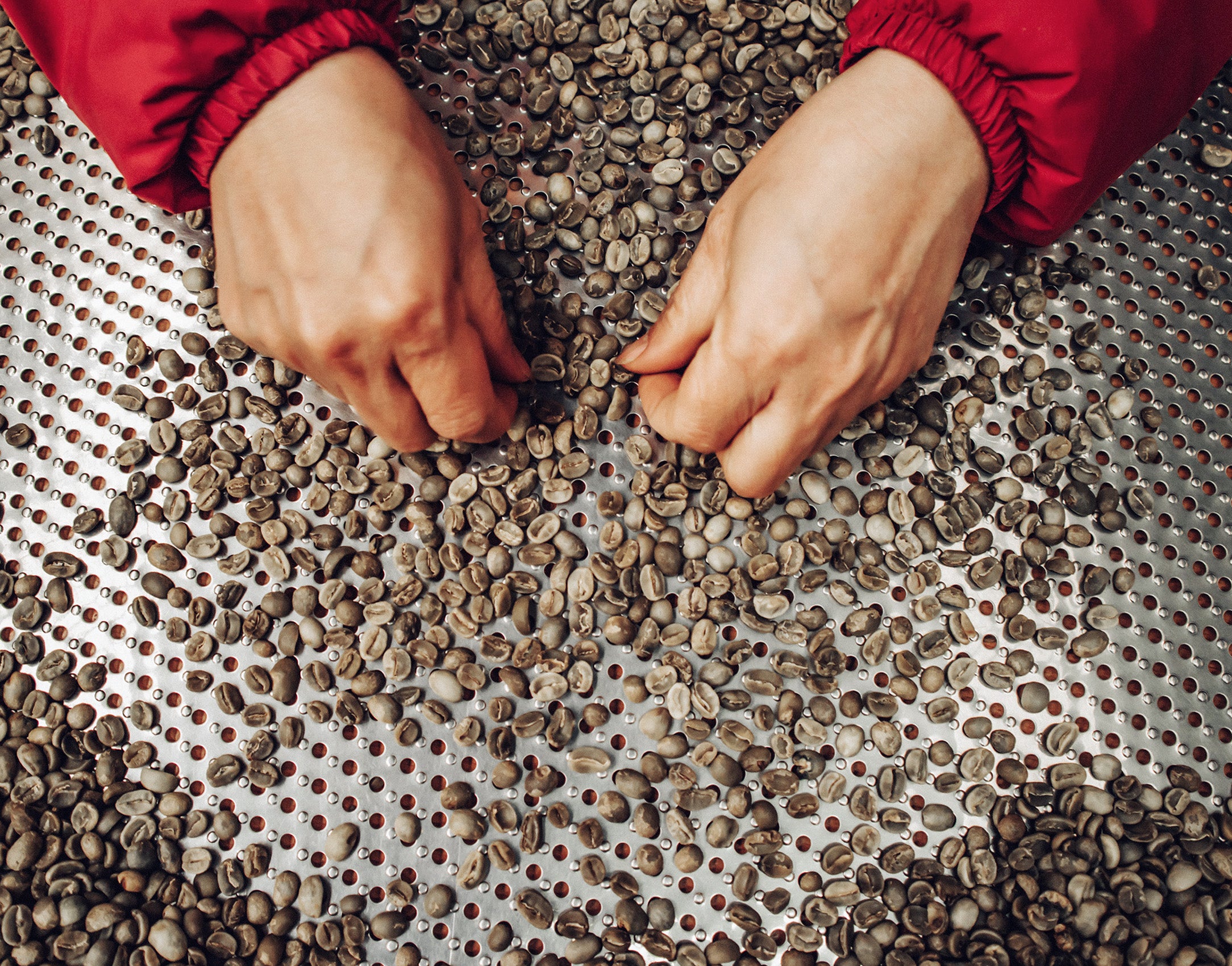 Step 3: Pre-Roast Beans Check