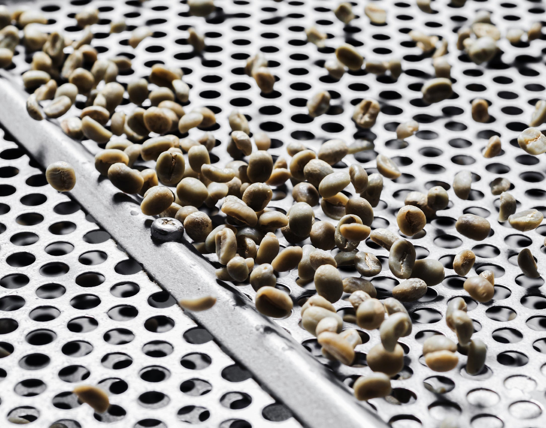 2. Green beans size screening