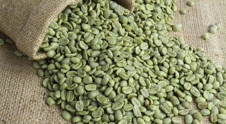 Brazil Acaia Coffee Beans