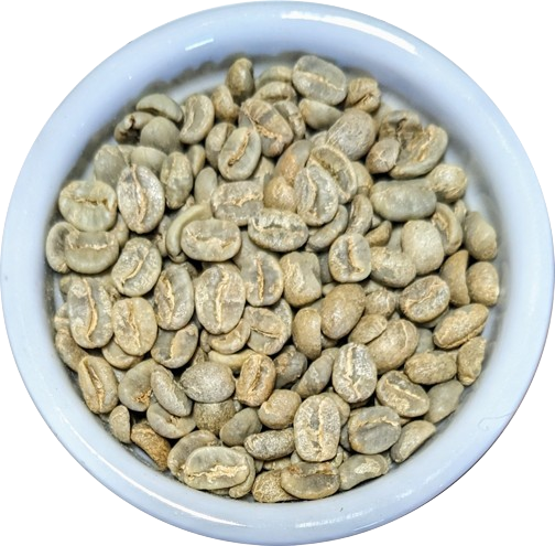 Honduras Parainema Coffee Beans